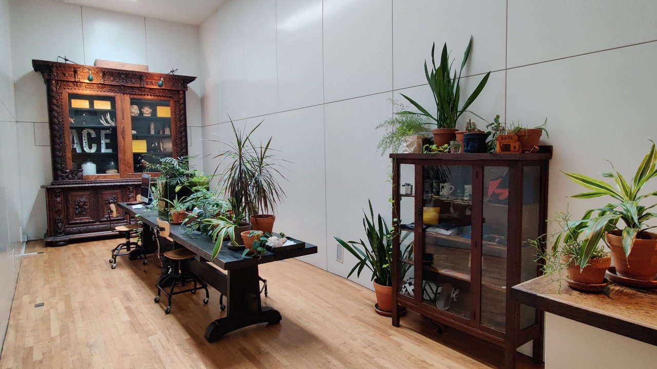 Photo of Others in Belltown