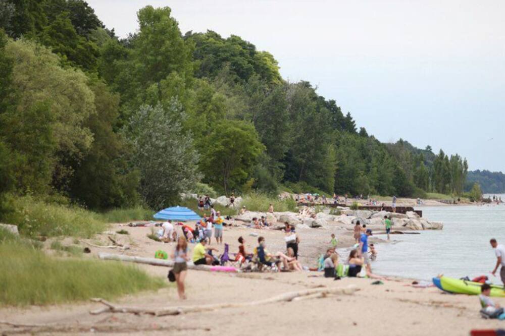 Photo of Others in Bayfield