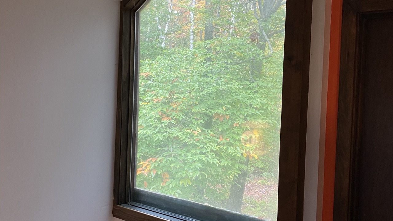 Photo of Others in Rochester