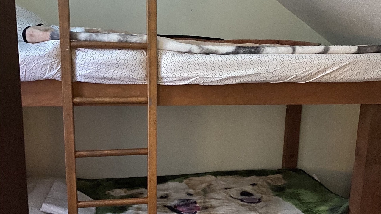 Photo of Others in Rochester