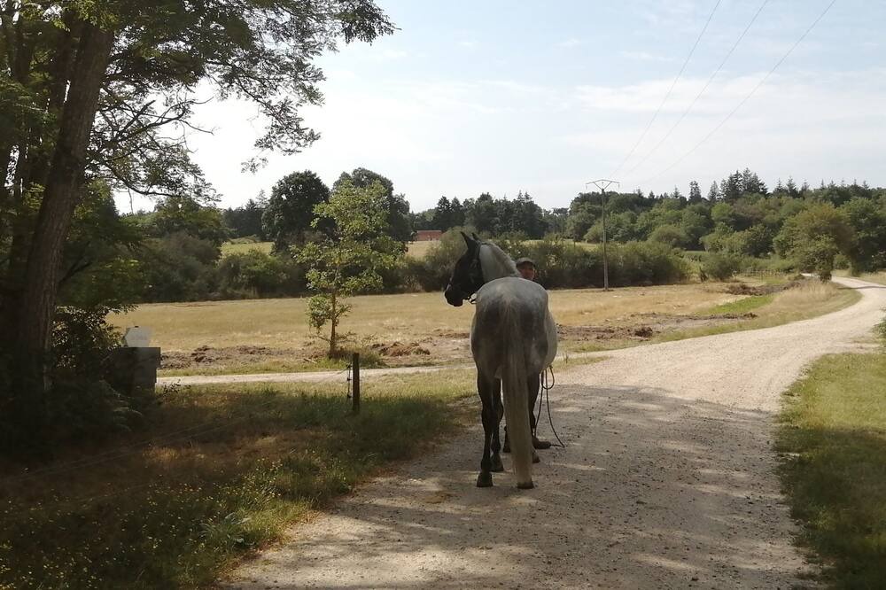 Photo of Outdoor in Ligny-le-Ribault