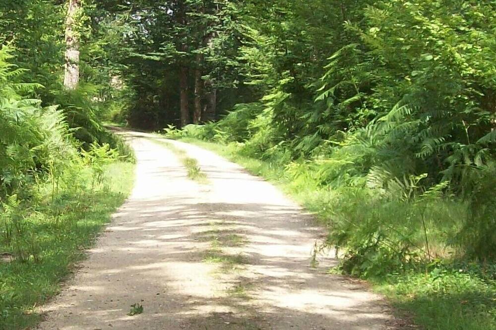 Photo of Outdoor in Ligny-le-Ribault