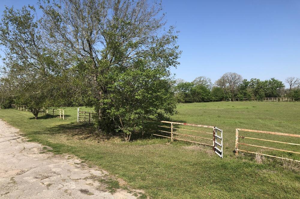 Photo of Others in Grimes County