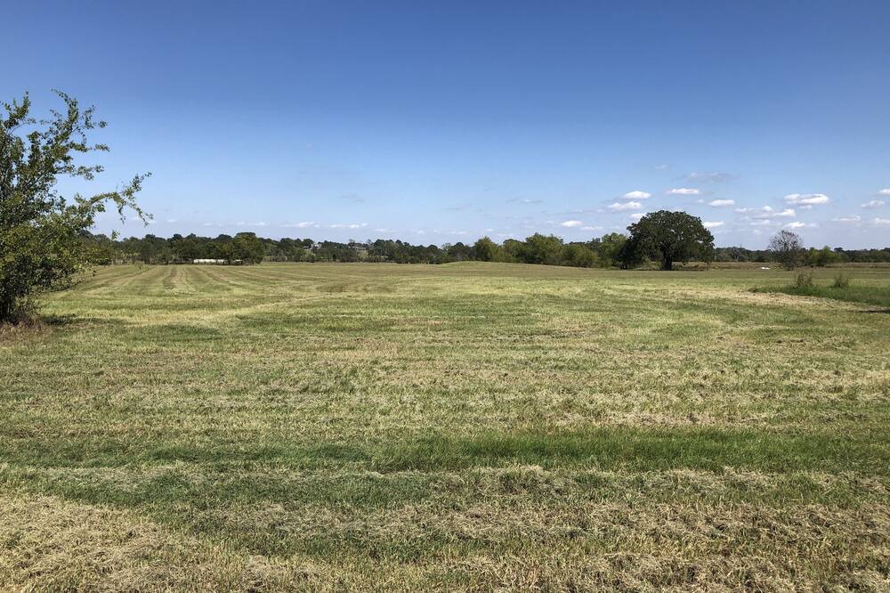 Photo of Outdoor in Grimes County