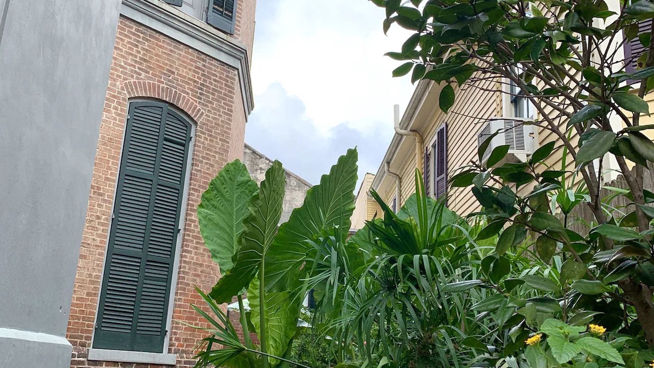 Photo of Outdoor in French Quarter