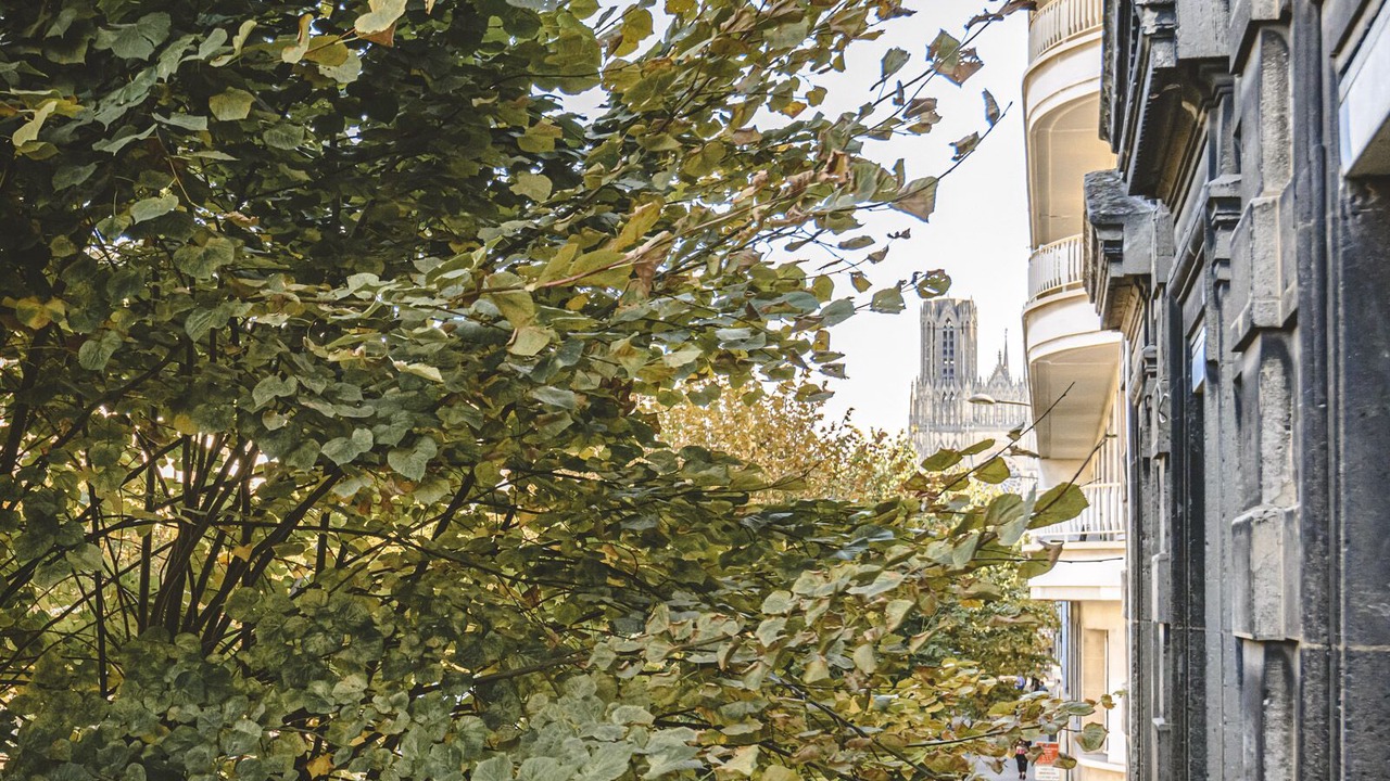 Photo of Outdoor in Courlancy