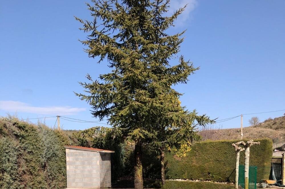 Photo of Outdoor in Ibeas de Juarros