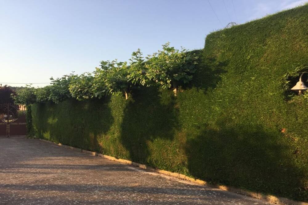 Photo of Outdoor in Ibeas de Juarros