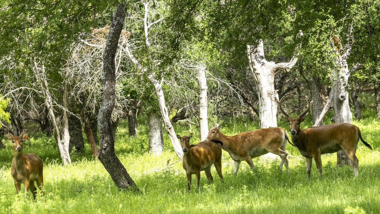 Photo of Outdoor in Lometa