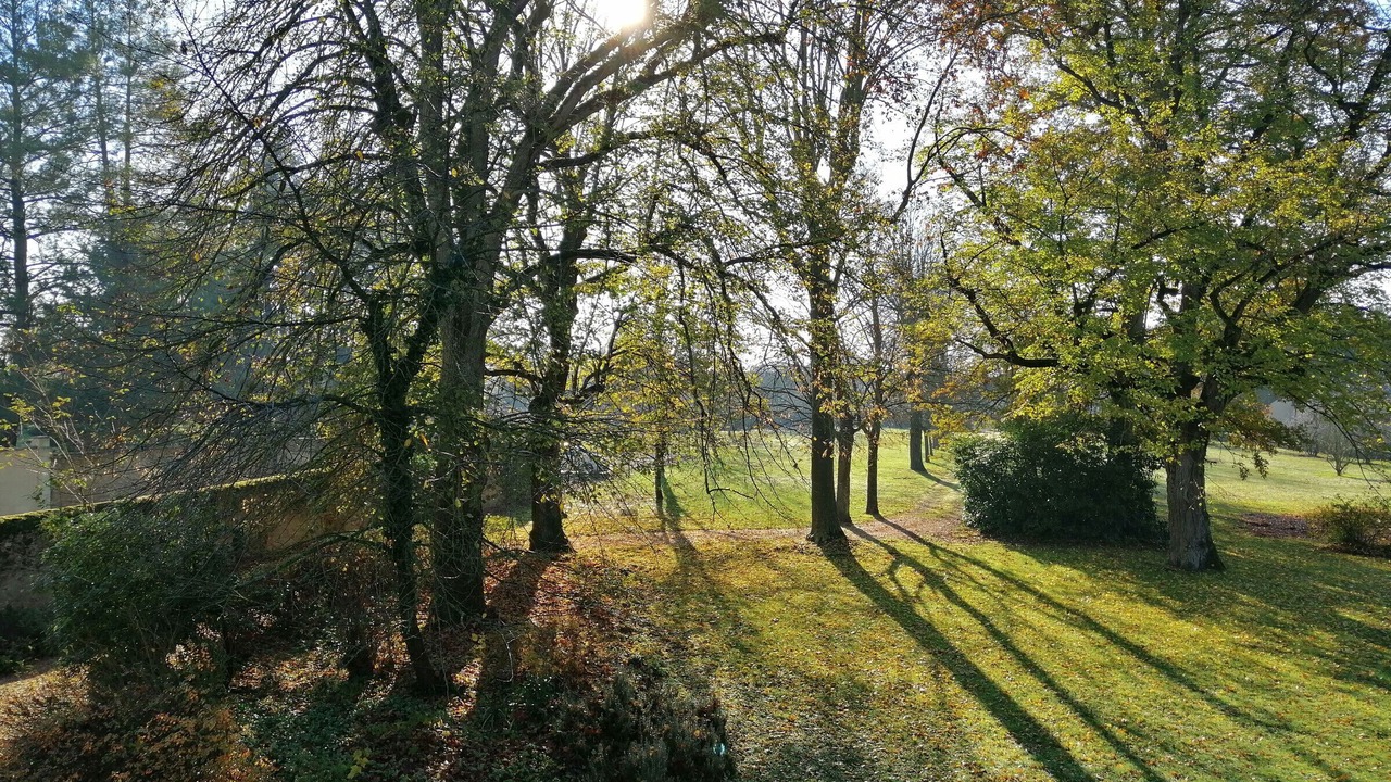 Photo of Outdoor in Precigne