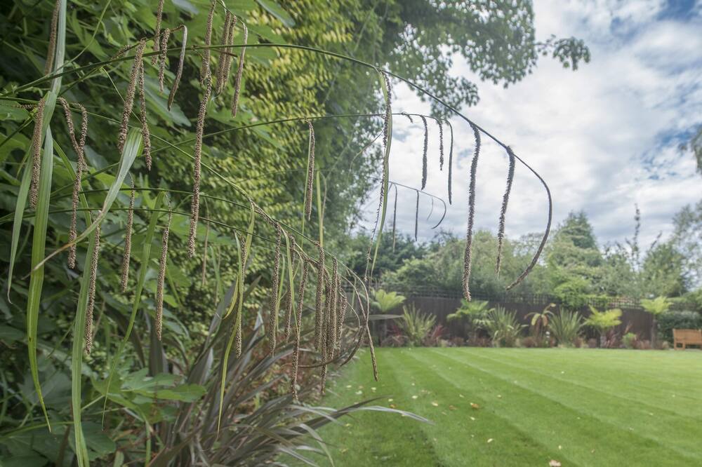 Photo of Others in Ascot