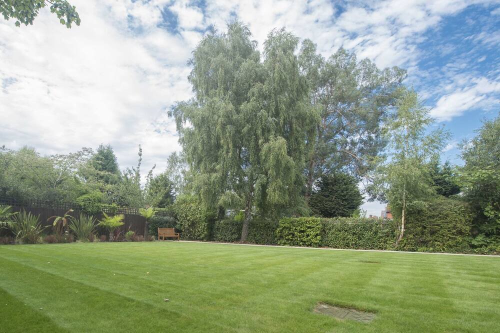 Photo of Others in Ascot