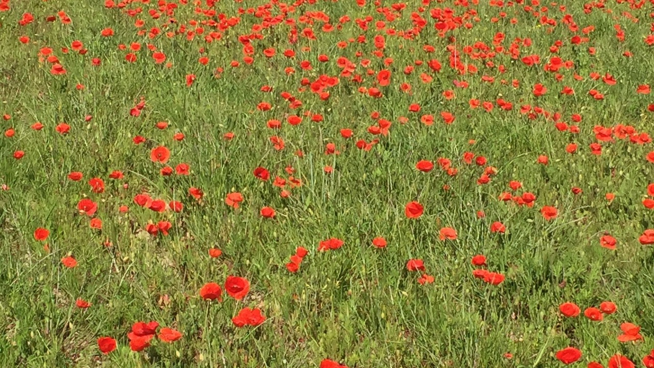 Photo of Outdoor in Sainte-Eulalie