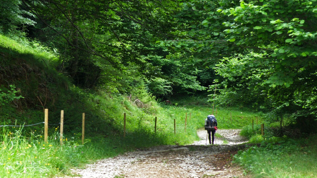 Photo of Outdoor in Rocabruna