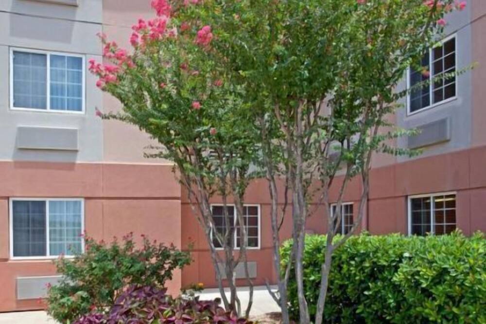 Photo of Others in Westchase