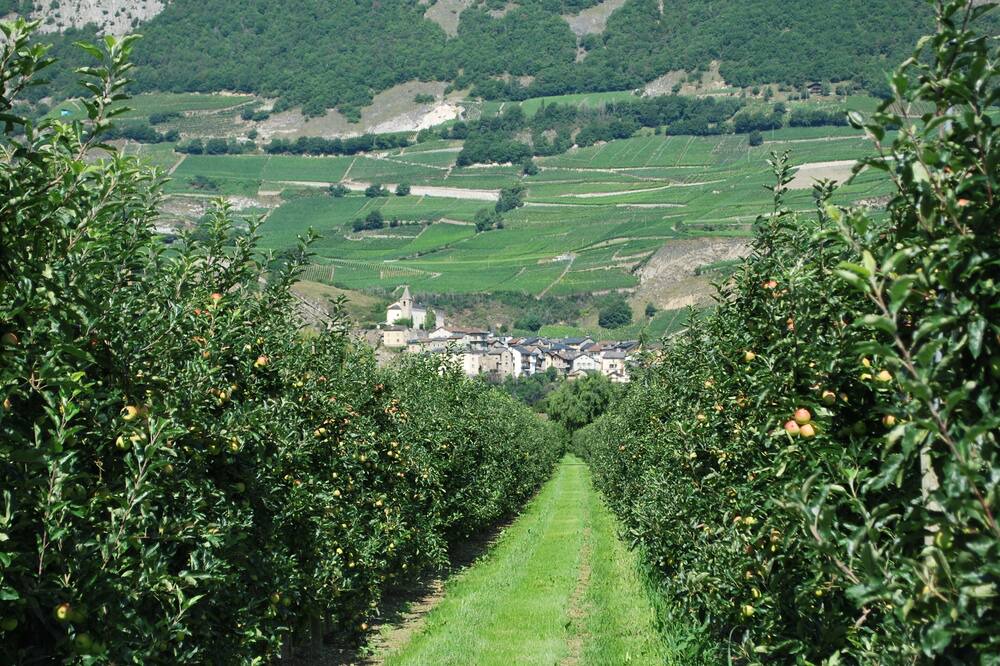 Photo of Others in Saillon