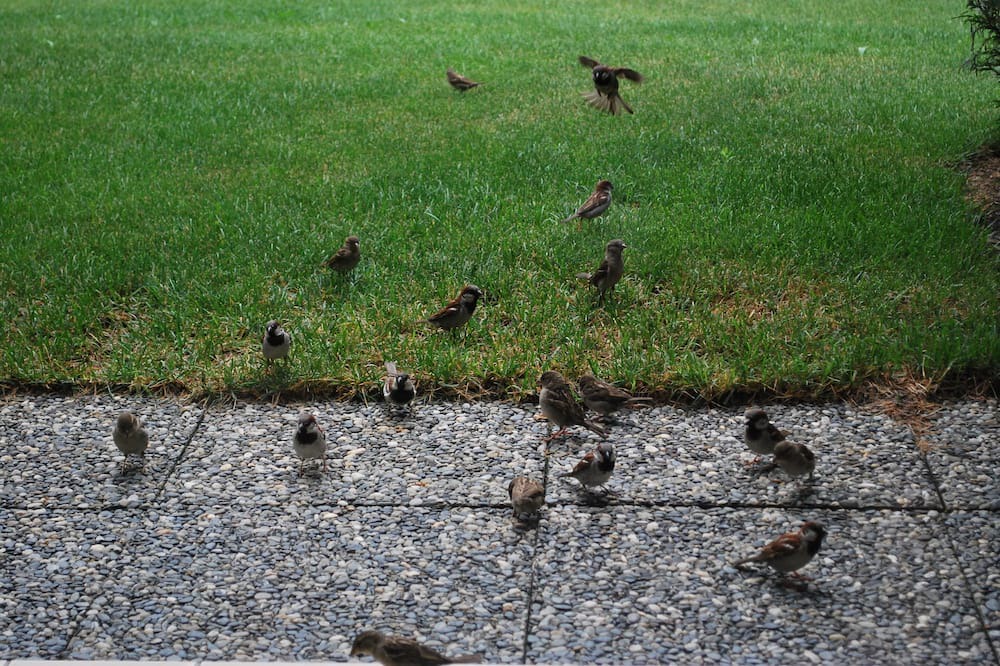 Photo of Outdoor in Saillon