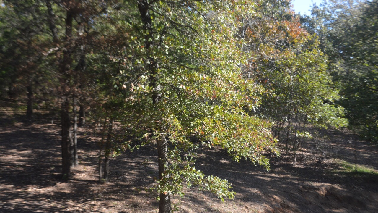 Photo of Outdoor in Denison