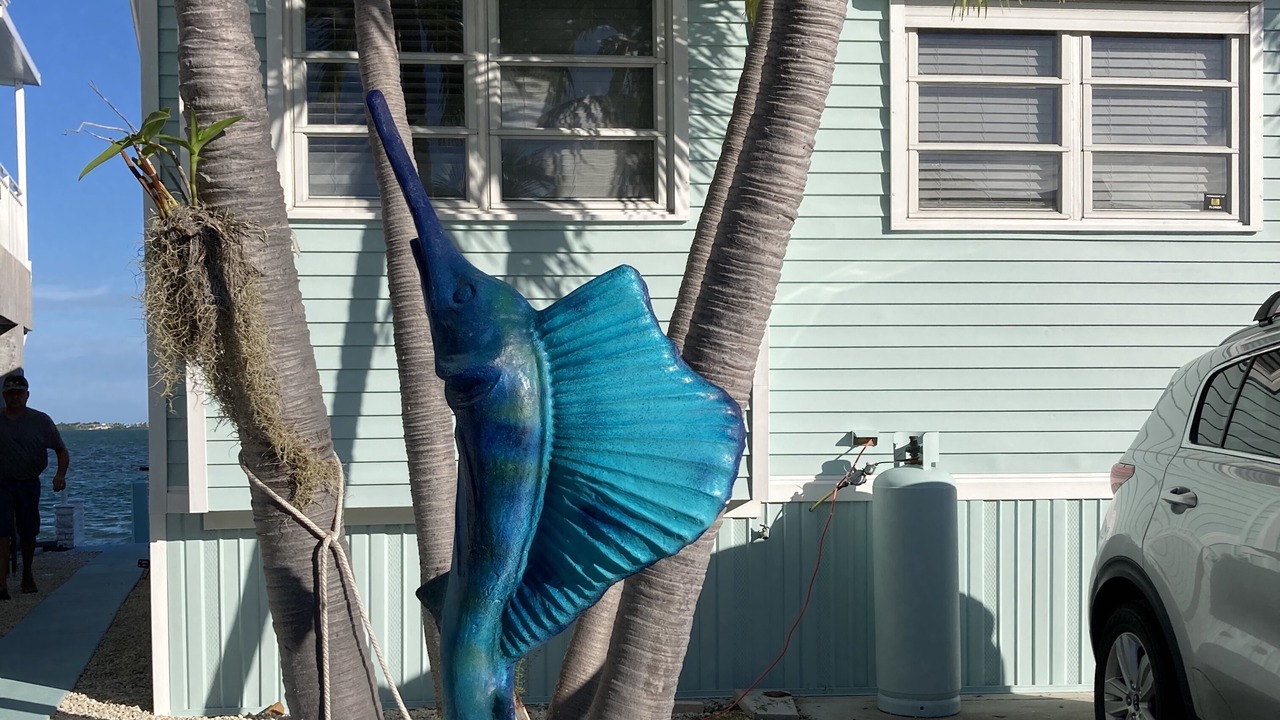 Photo of Outdoor in Cudjoe Key