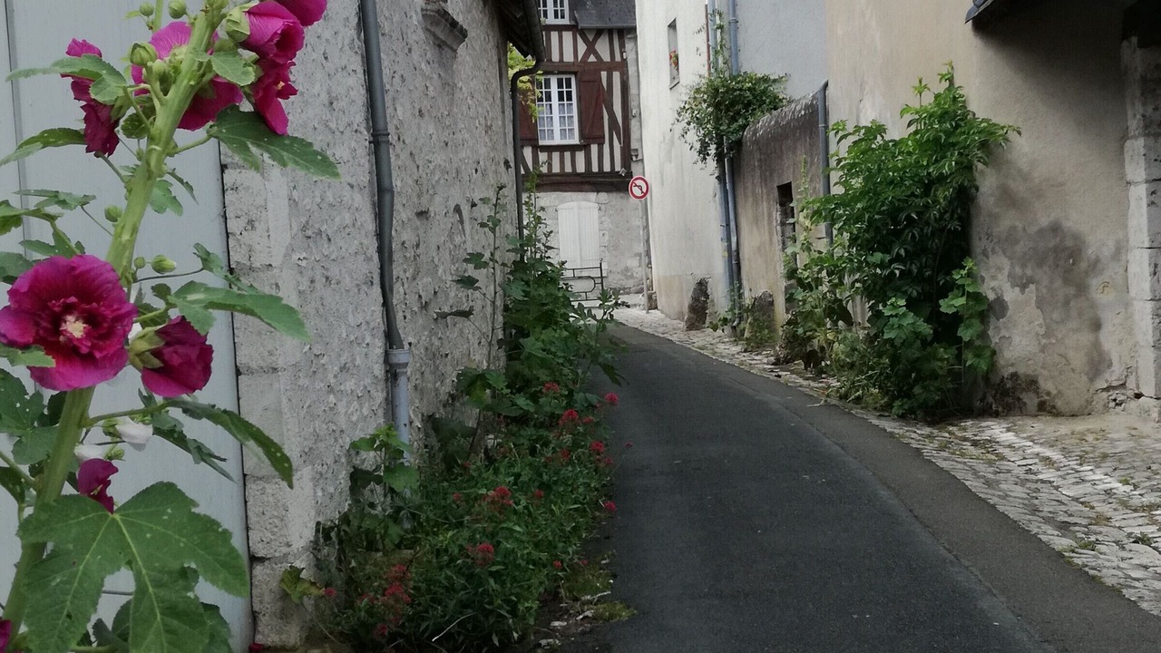 Photo of Outdoor in Beaugency