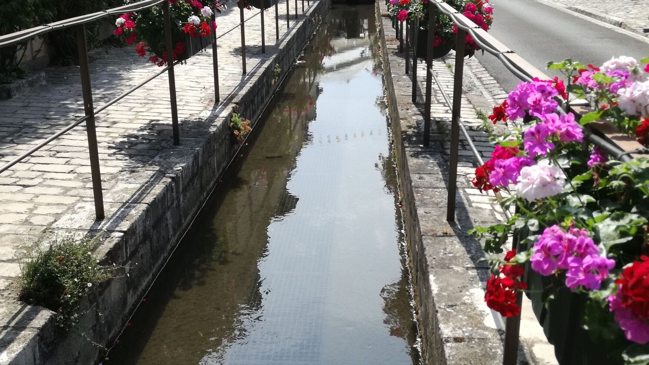 Photo of Others in Beaugency