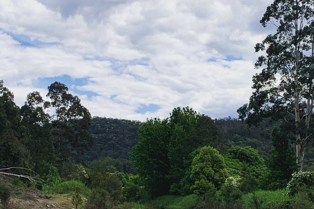 Photo of Outdoor in St. Albans