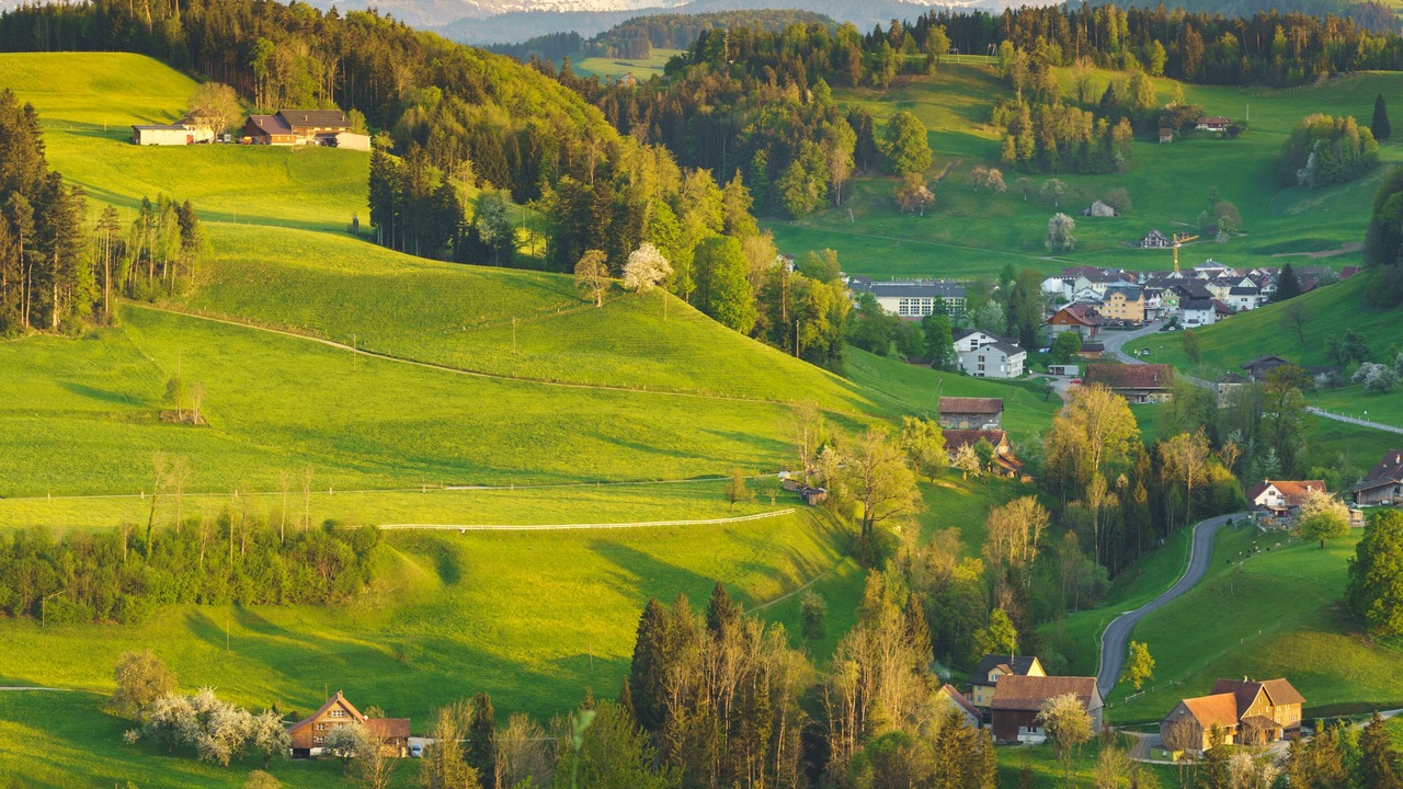 Photo of Others in Mosnang
