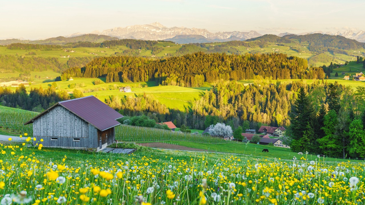 Photo of Outdoor in Mosnang