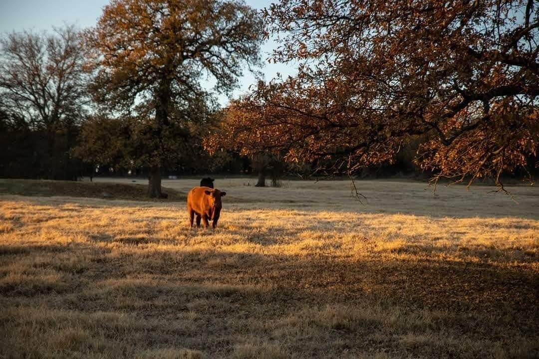 Photo of Others in Sunset