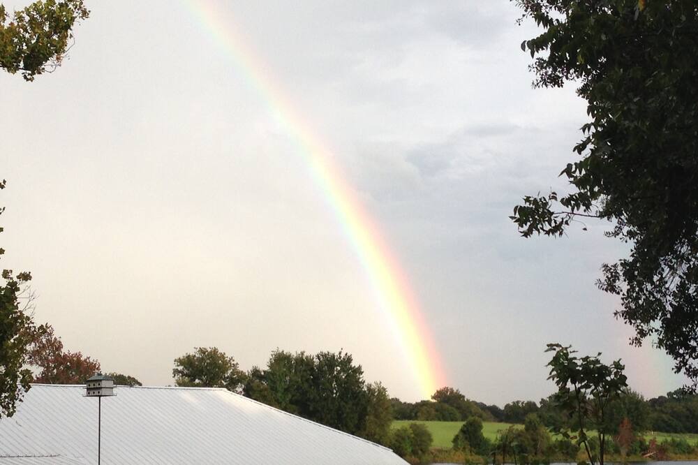 Photo of Outdoor in Buffalo