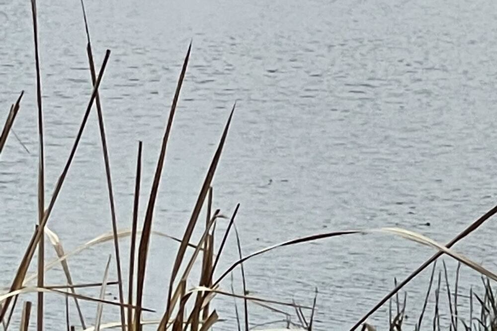 Photo of Outdoor in Buffalo