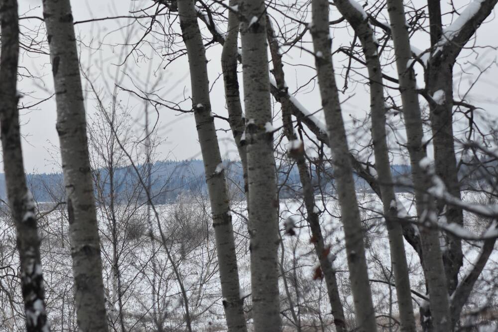 Photo of Outdoor in Gronlid