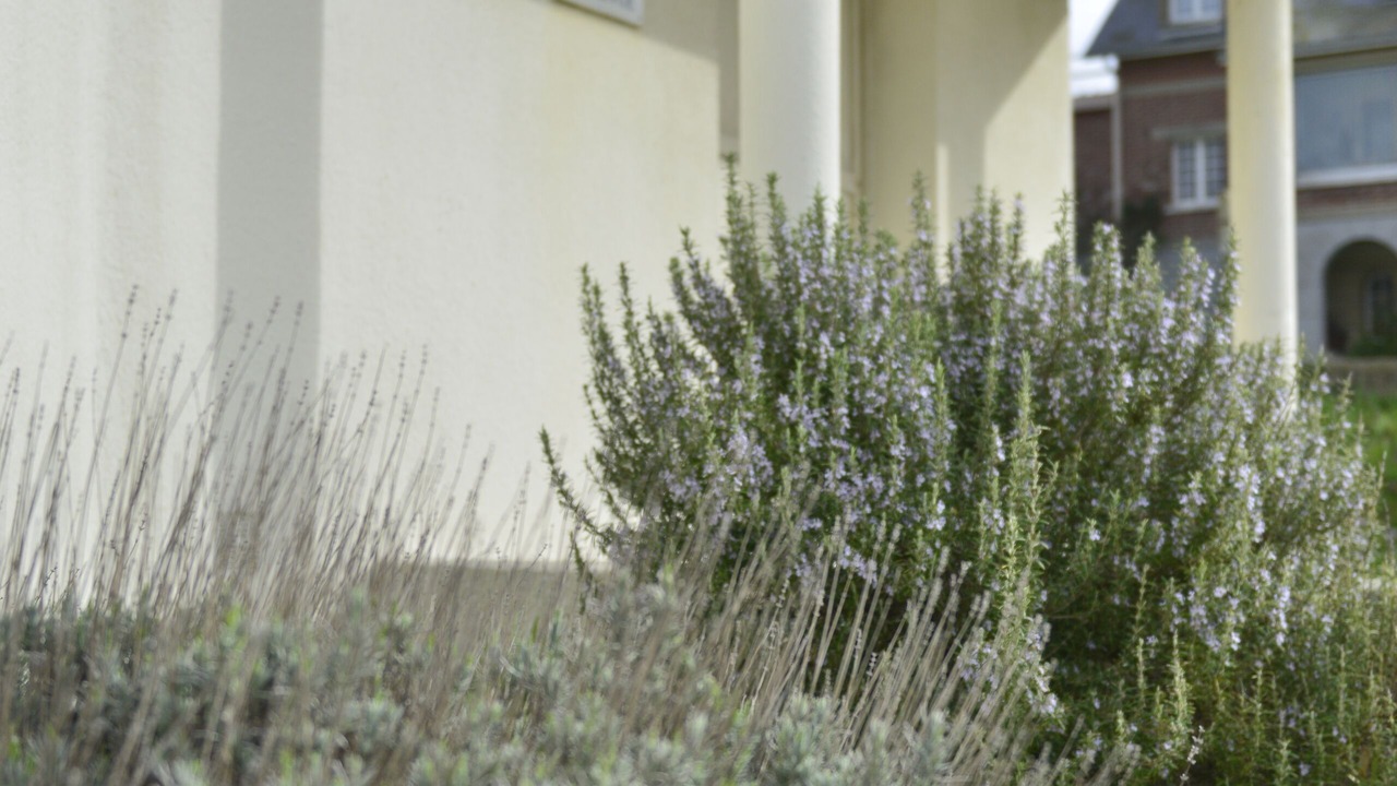 Photo of Outdoor in Mesnil-Val