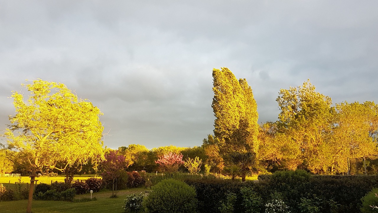 Photo of Outdoor in Allonnes