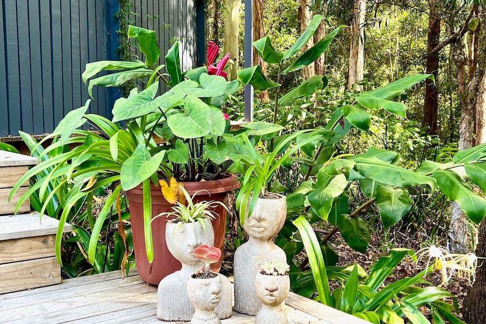 Photo of Outdoor in Reesville