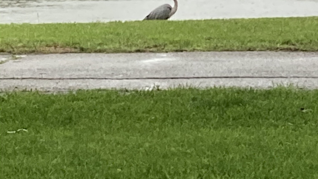 Photo of Others in Emporia