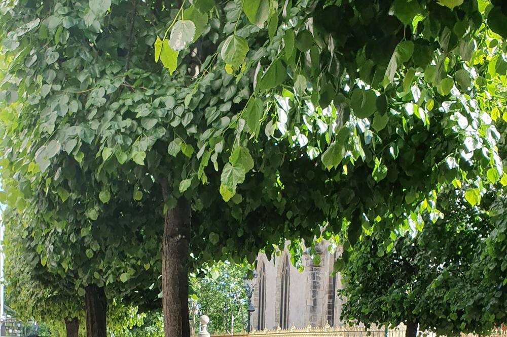 Photo of Outdoor in Puteaux