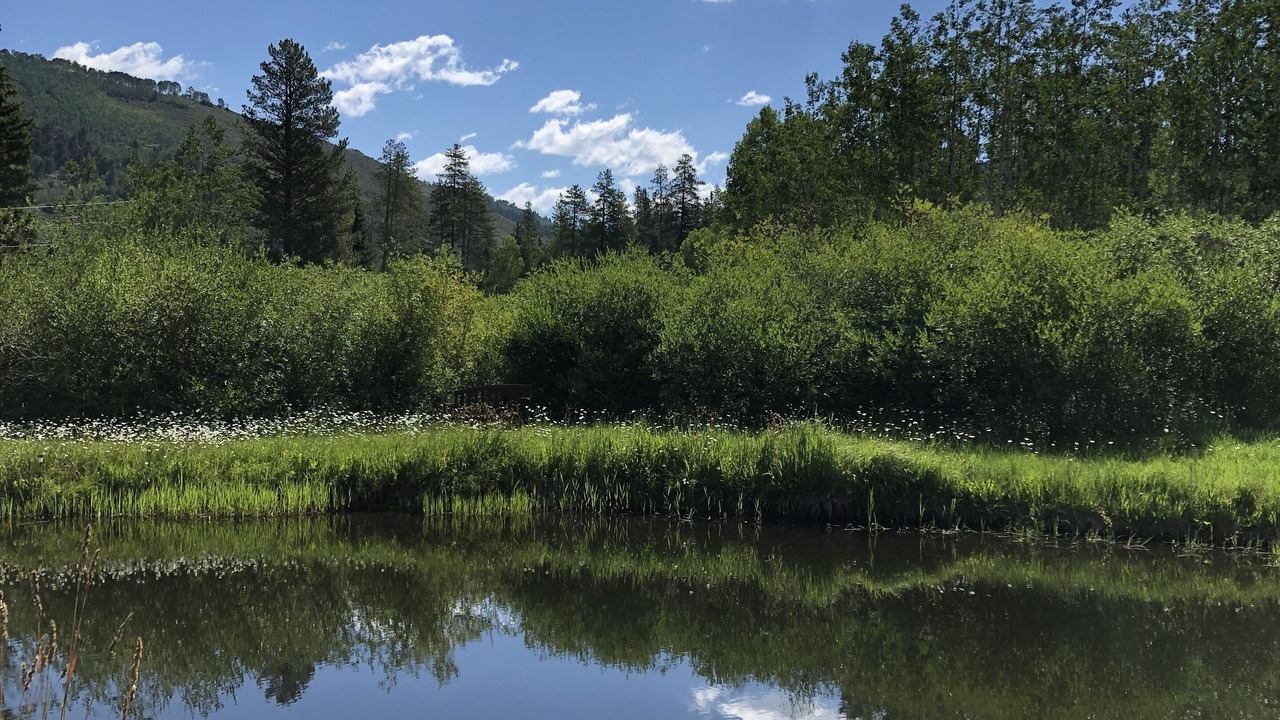 Photo of Outdoor in Pitkin County