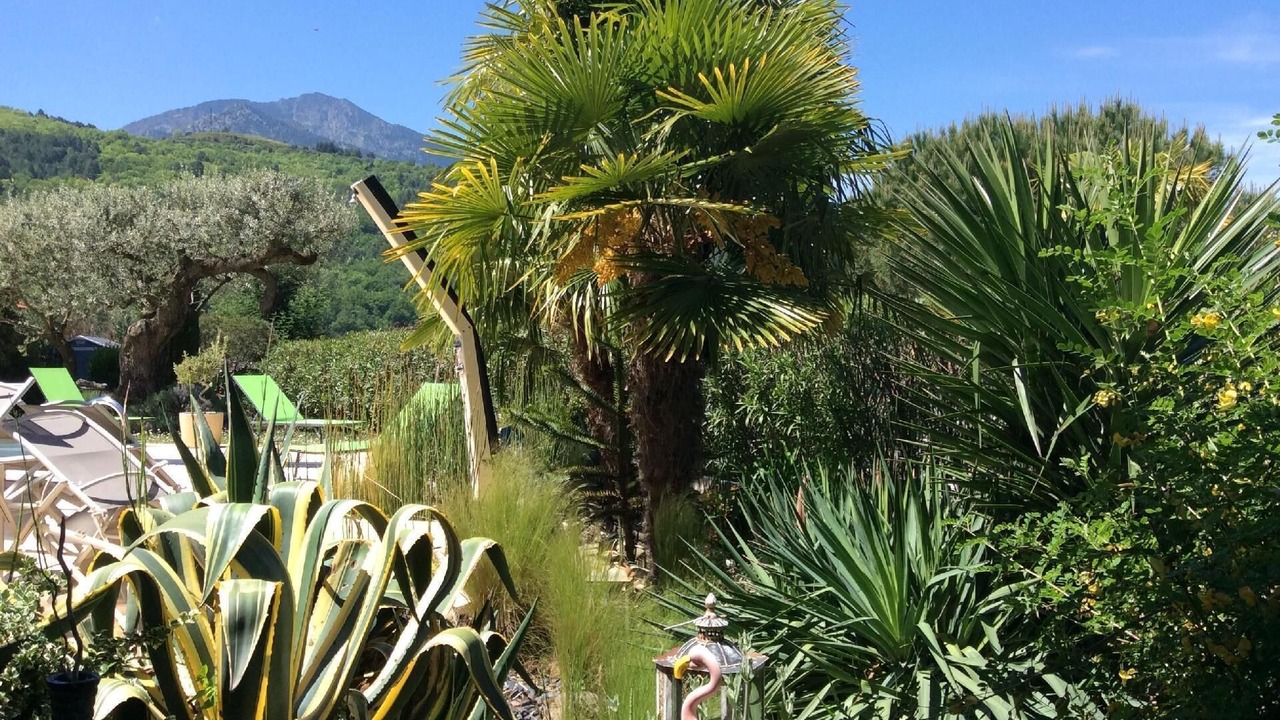 Photo of Outdoor in Vernet-les-Bains