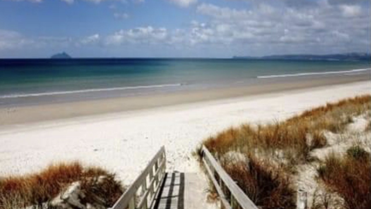 Photo of Others in One Tree Point