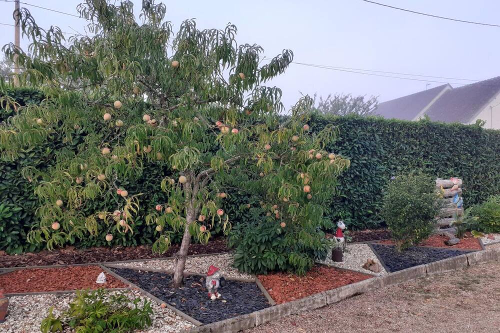 Photo of Outdoor in Meusnes