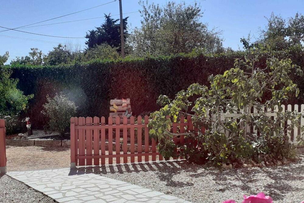 Photo of Outdoor in Meusnes