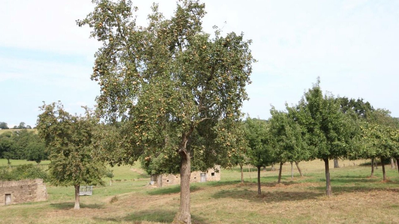 Photo of Outdoor in Tinchebray-Bocage