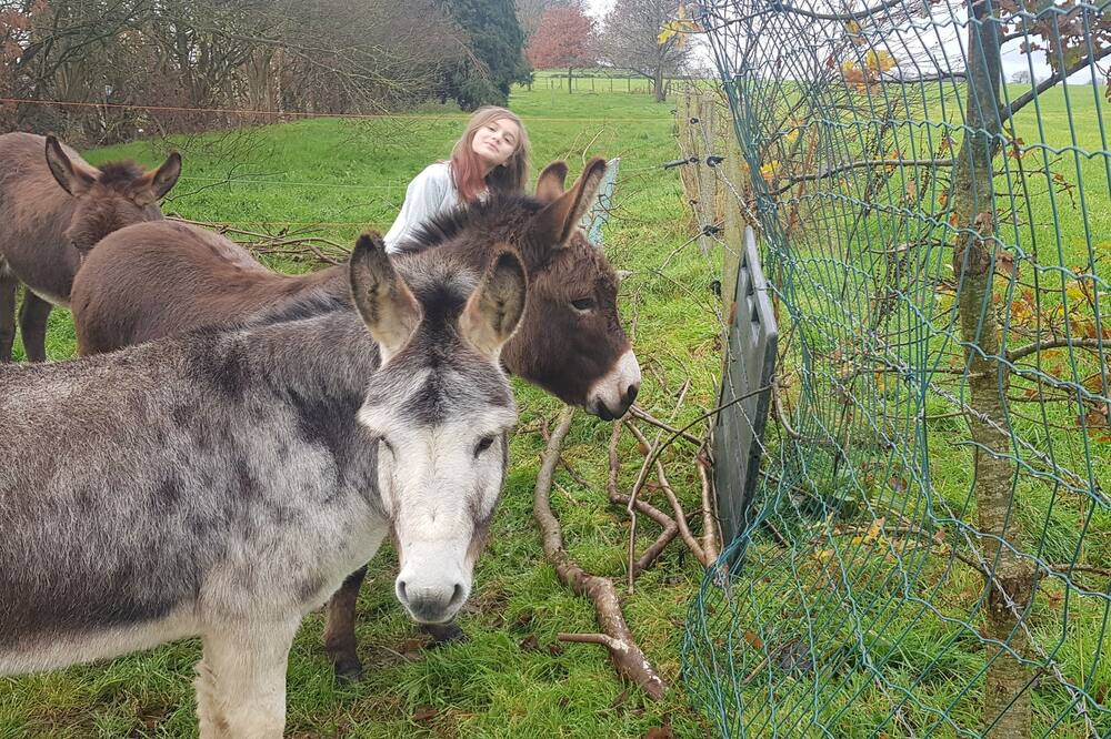 Photo of Outdoor in Parigne