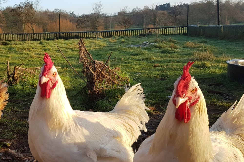 Photo of Outdoor in Parigne