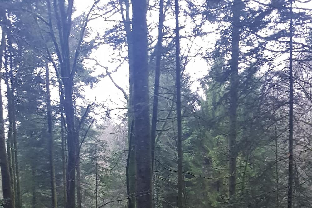 Photo of Outdoor in Parigne