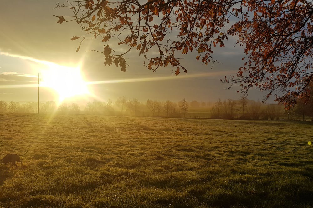 Photo of Others in Parigne