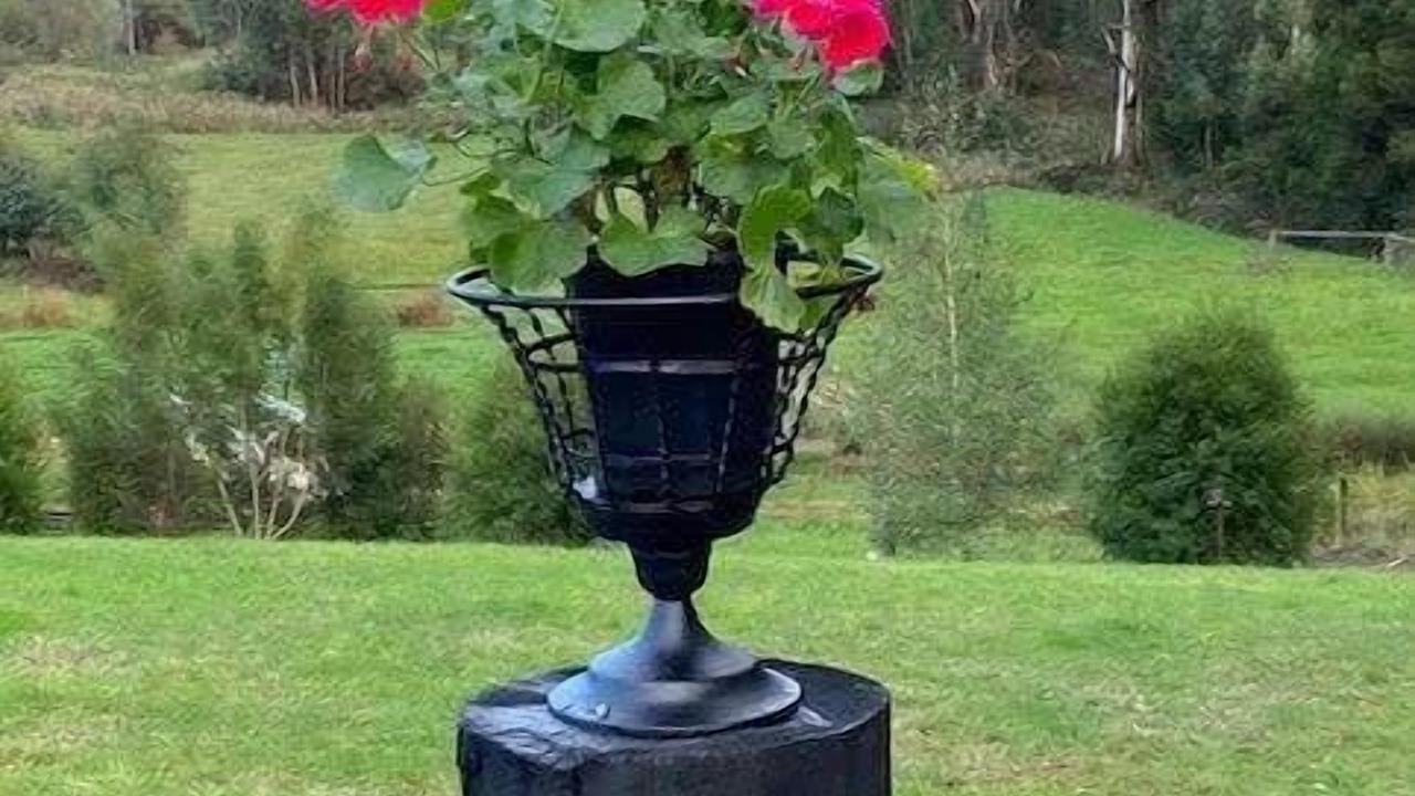 Photo of Outdoor in Boolarra