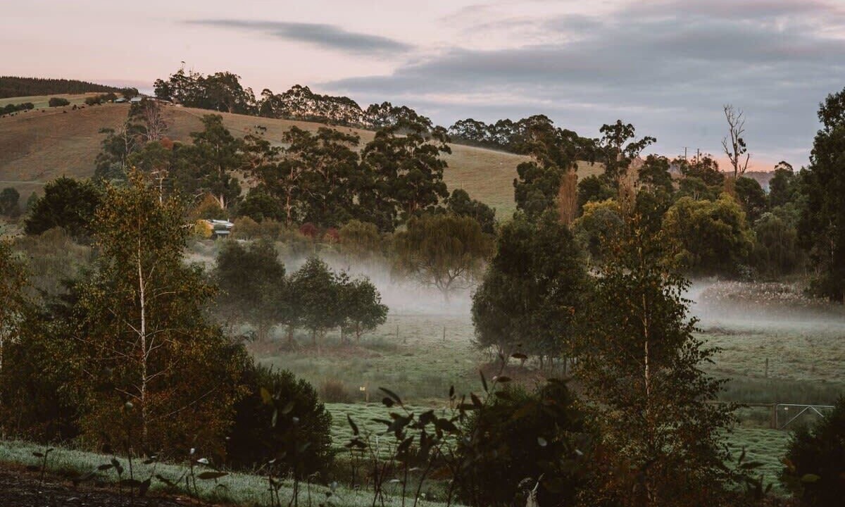 Photo of Outdoor in Boolarra