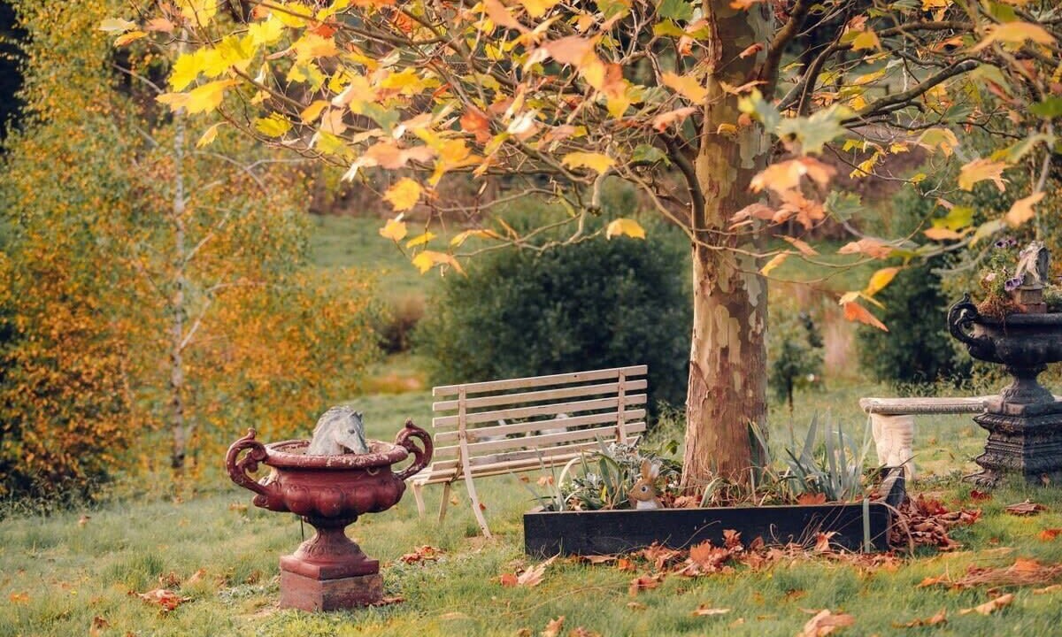 Photo of Outdoor in Boolarra